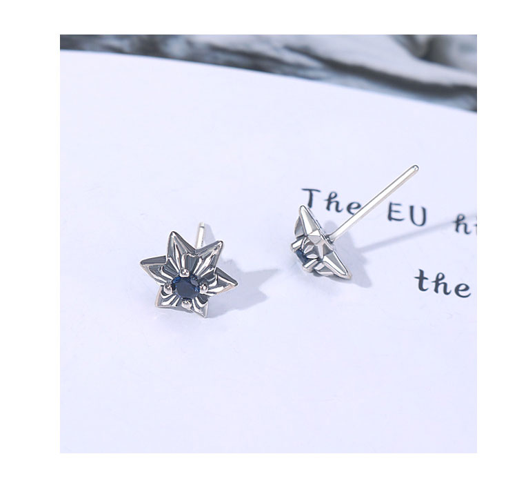product-KeKe-TE001 Vintage sterling silver S925 hexagram earrings with cubic zircon-img